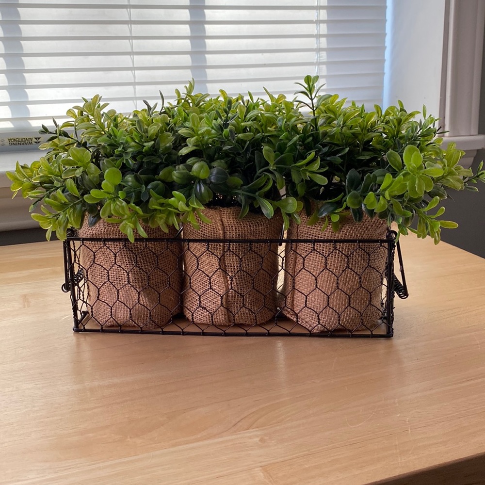 Plant/Greenery Basket